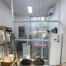 늘 사랑스럽개 이미지