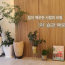 깨끗한 사람들 이미지