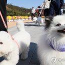 열린투어
