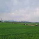 국토행정사사무소 이미지