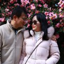 맞춤형코스 | 제주도 단체 패키지여행 노쇼핑 단독투어 맞춤형 일정코스