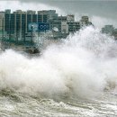 해일수산 이미지