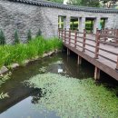 양평쉬자파크 이미지