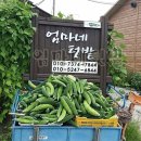 온성탕 네이버블로그
