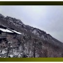 하나과일 - 관악구 남부순환로248길 32 | 하나과일