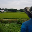 무인항공방제