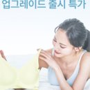 크로커다일 대리점 | 그리티-이너웨어