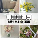 이플플라워스튜디오 - 서구 계룡로367번길 58 | MJ컨벤션 근처 웨딩부케 이플플라워스튜디오 (내돈내산)