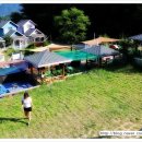 파트라슈 애견 펜션 이미지