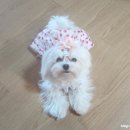 까까맘마 이미지