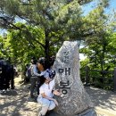 청계산 매봉 등산코스 추천 정상 후기｜청계산입구역 원터골 등산