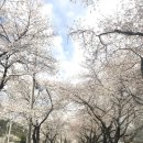 (주)두베