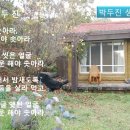 예술극장 온 이미지