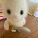 애월로 | [제주2] 흐리지만 괜찮아 (미송식탁, 트리베이커스, 오희카페, 보롬왓, 마씸, 멜버즈, 슬로모, 티미디...