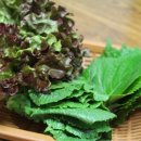 승진식당 네이버블로그
