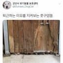 콧구멍PC방 이미지