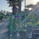 마로니에 미니골프 이미지