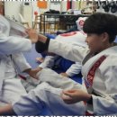 대한합기도 | 키즈주짓수 아이들의 자신감을 키워주는 주짓수 체험기