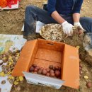 천기농장 이미지