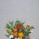 트리더스