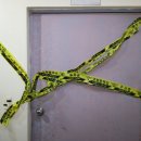 모텔 9월 이미지