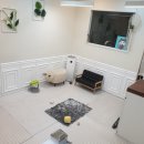 101 애견미용 이미지