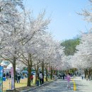 홍천푸드공방