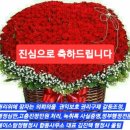 김진택농장 이미지