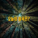 신공항석유 이미지