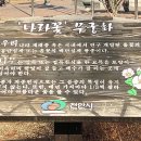 도솔광장 잔디광장 이미지