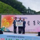 새마을금고중앙회강원지역본부 이미지