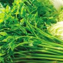 미나리슈퍼 이미지