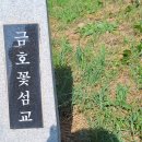 삔침긋은 햇살을 맞으며 꽃구경을 가다! - 함양 상림공원, 개평한옥마을, 돌아오는 길에 거창 창포원~ 이미지