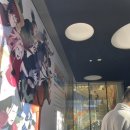 카프랜즈 준엔현카센터 | 홍대 나루토 전시회 나루토 더 갤러리 후기