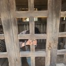 대장금마실길(1코스) | 용인 대장금 파크 데이트 후기｜남편 사극 과몰입 리얼 체험기