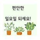 옵티마하남약국 이미지