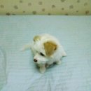 화홍고등학교 이미지