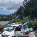 오라켄넬 이미지