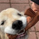 찹찹테이블 이미지