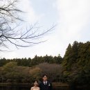 김수안 카카오 검색결과