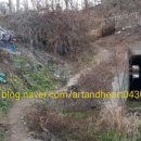 대곡농로 이미지