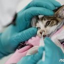 서울동물복지지원센터 동물병원(구로) 이미지