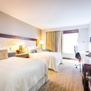 뉴욕뉴욕(New York New York) 이미지