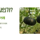 재재농산물