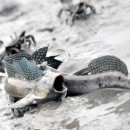 서산글램핑 이미지