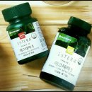 에스테라 이미지