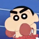 슈가복싱 프리미엄 이미지