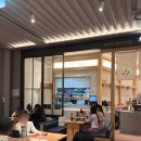 현대 | 여의도 더현대 우니도. 카이센동 후기