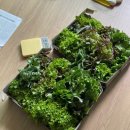 찬희농장 이미지