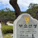 부여점기아오토큐 이미지